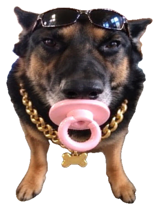 Thug Baby: a German Shepherd wearing sunglasses, a gold chain, and a pink pacifier